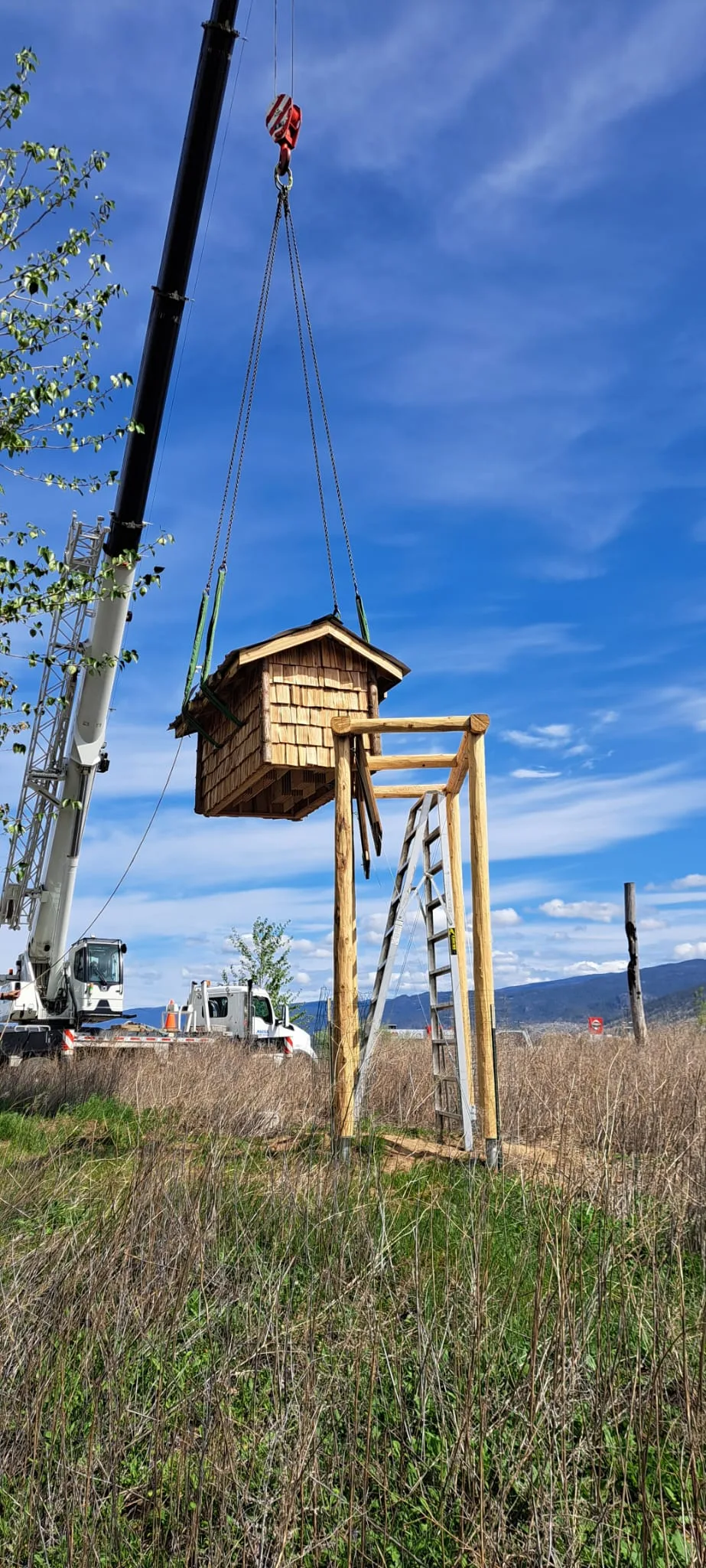 The Okanagan Bat Condo being craned into place at Penticton Channel Parkway