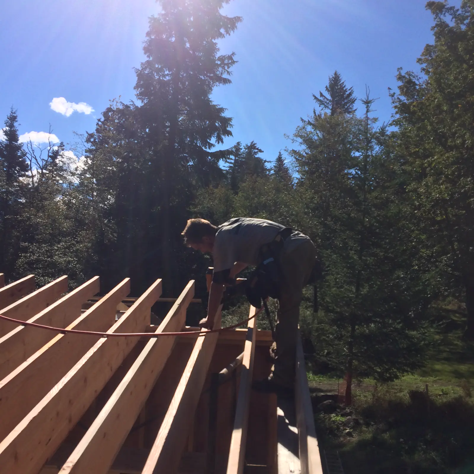 Roof and floor framing detail